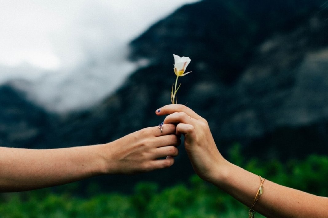 Não é de repente que o amor nasce ou morre