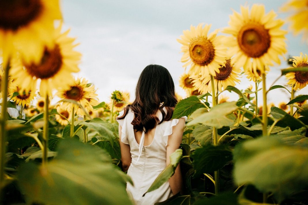 A vida fica mais leve quando a gente resolve florir, em vez de ferir